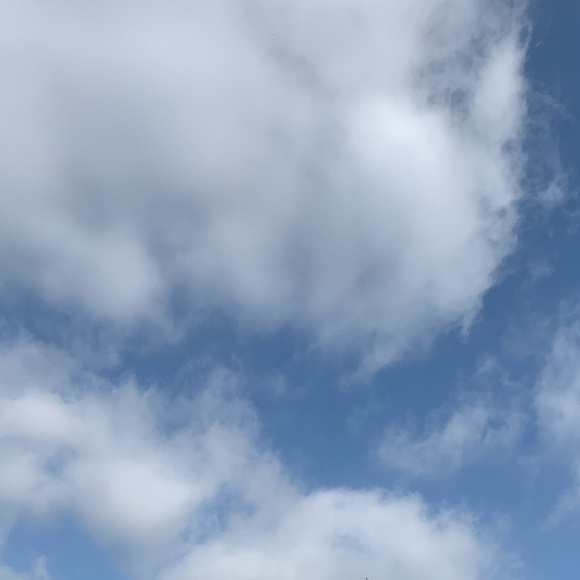 Meet your Posher, R - Picture 1 of 1